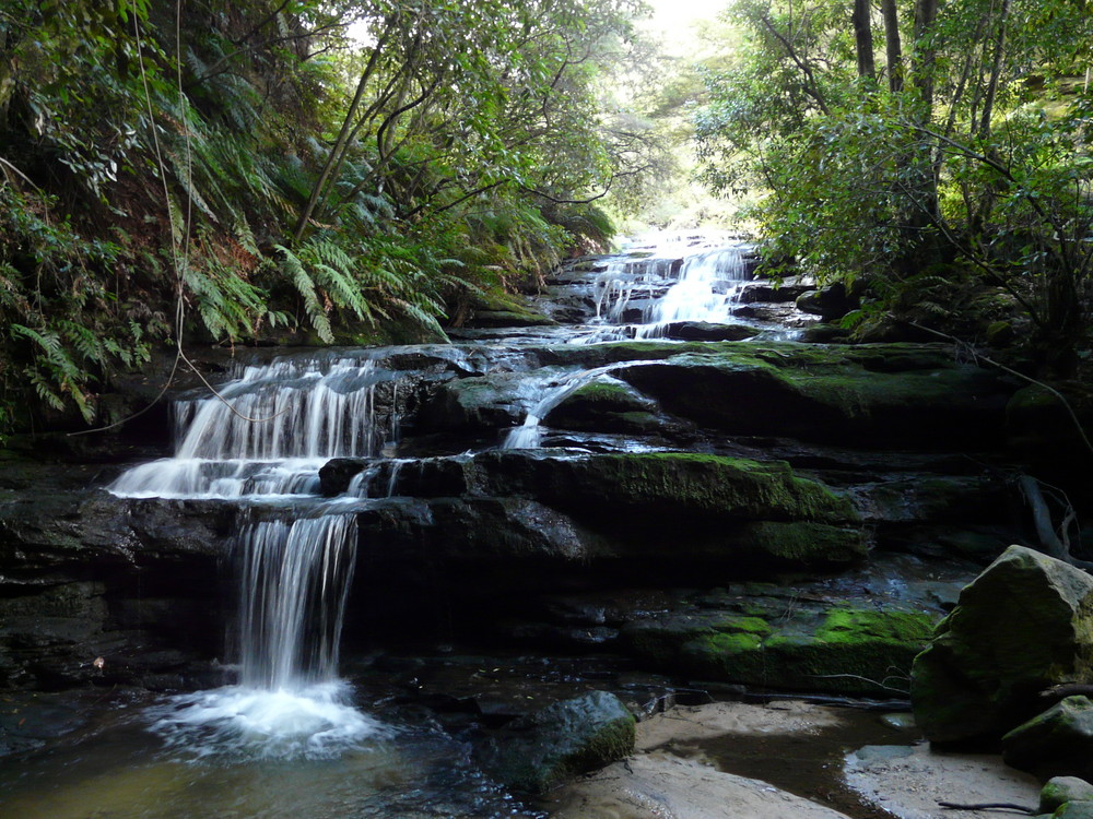 Blue Mountains