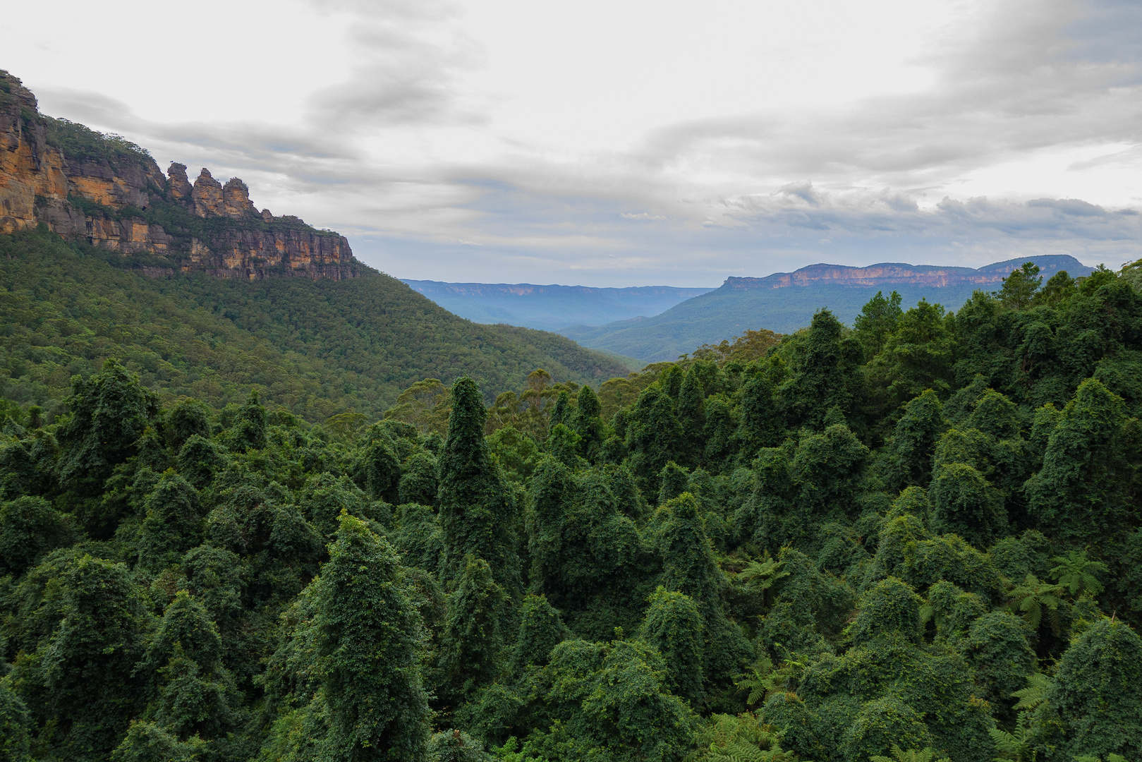 Blue Mountains