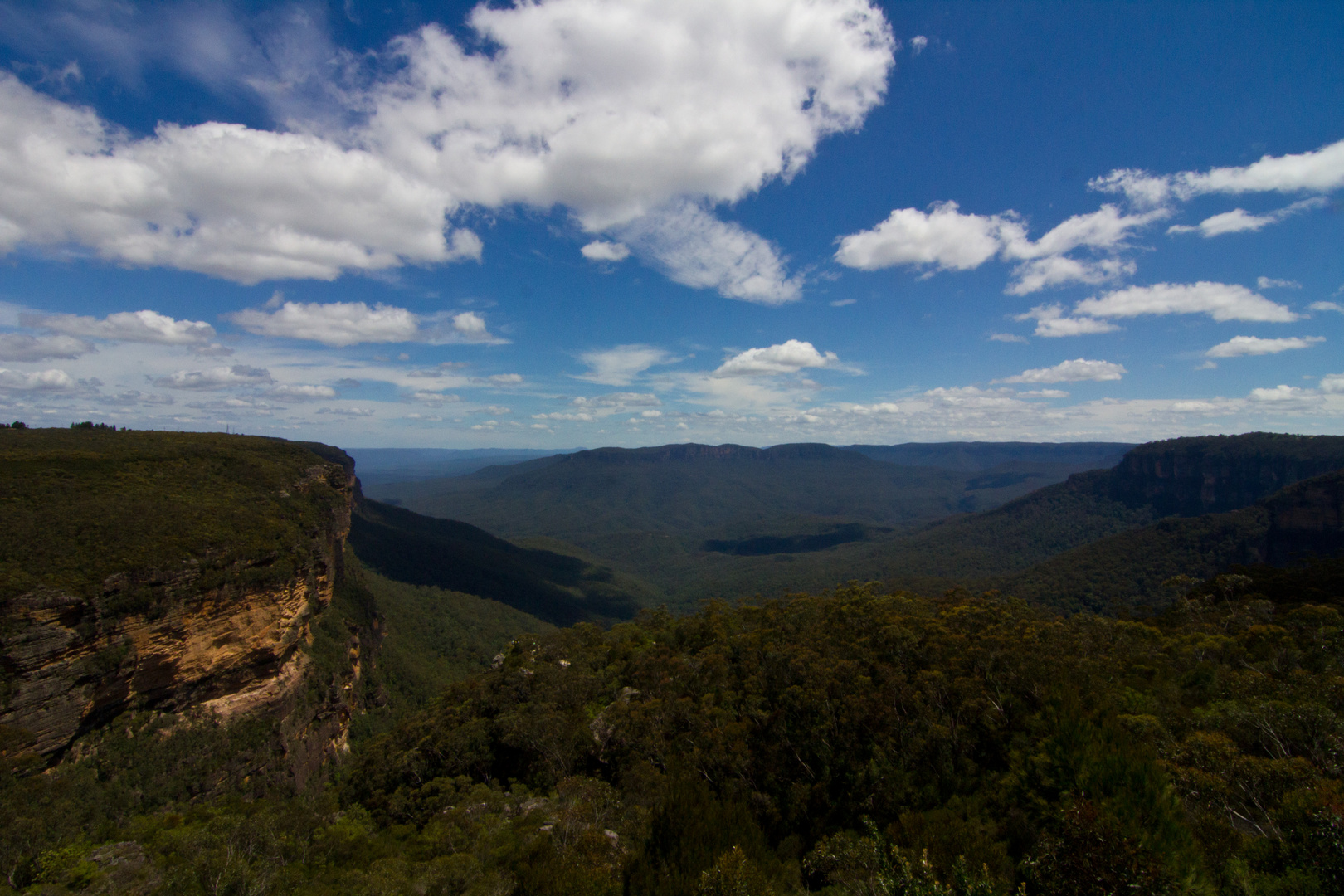 Blue Mountains