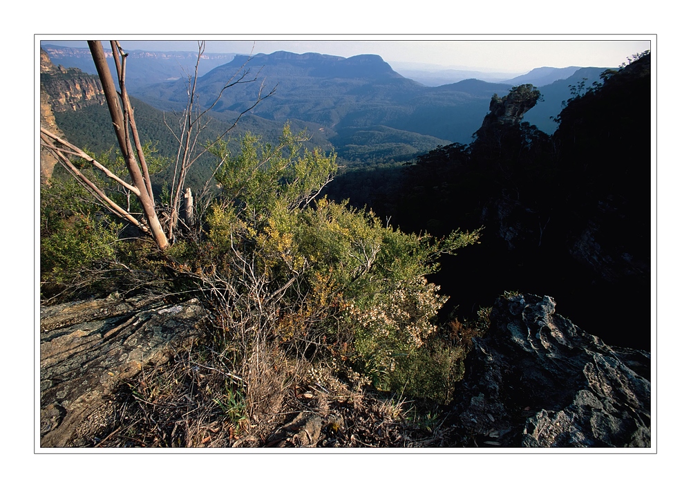 Blue Mountains