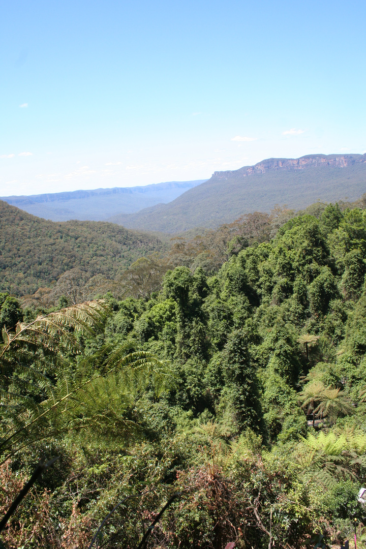 Blue Mountains Ausflug