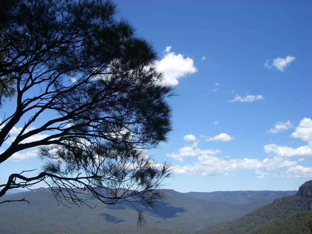 Blue Mountains Australien