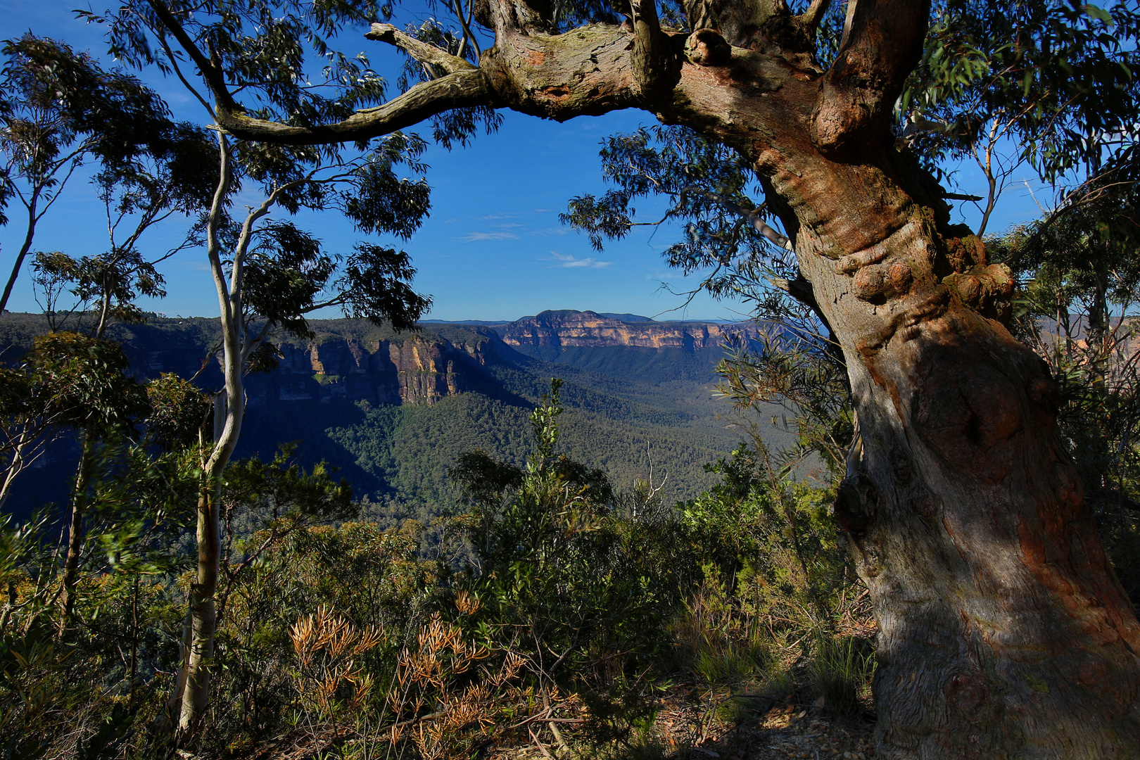 Blue Mountains