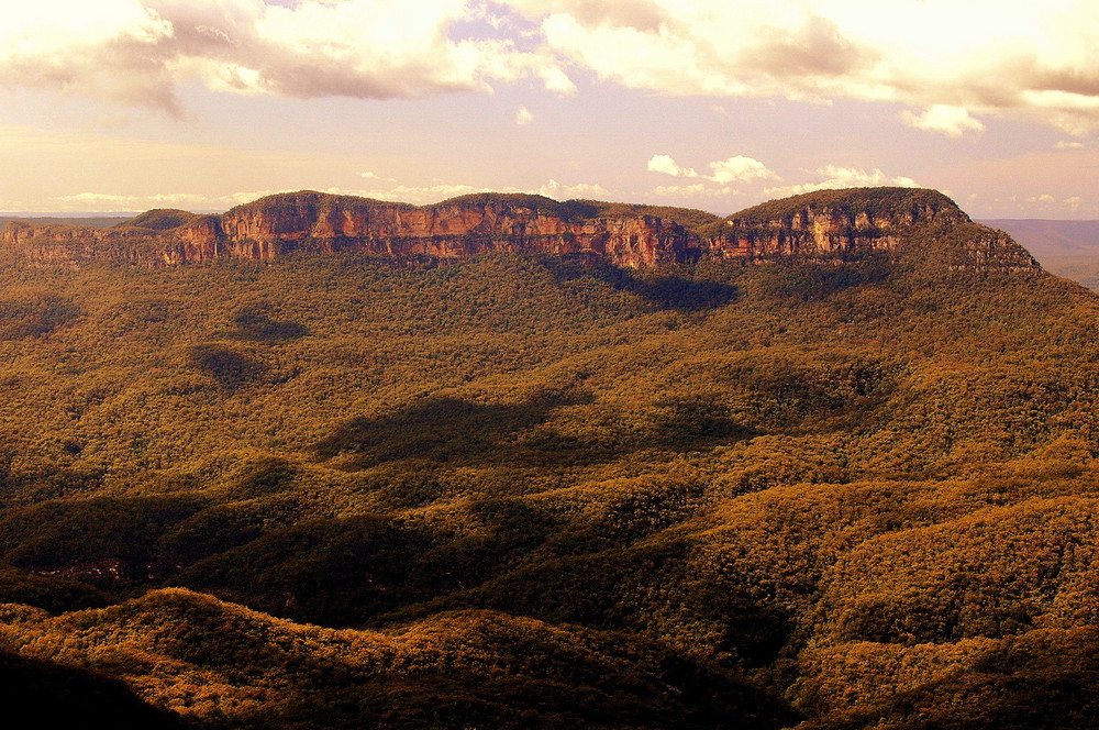 Blue Mountains Blick