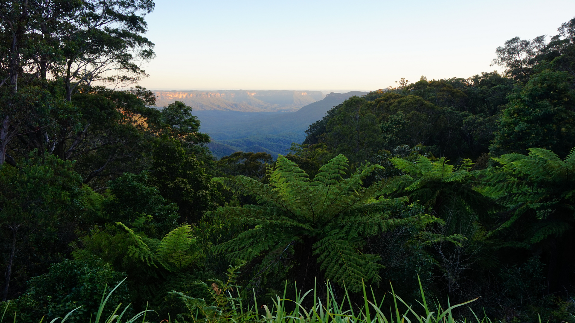 Blue Mountains Evening