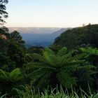 Blue Mountains Evening