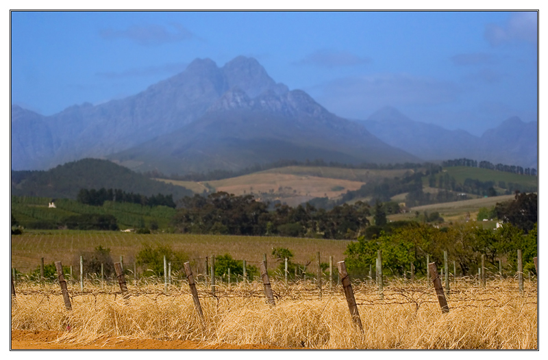 Blue mountains