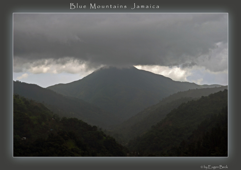 Blue Mountains Jamaica