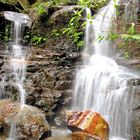 Blue Mountains Waterfall