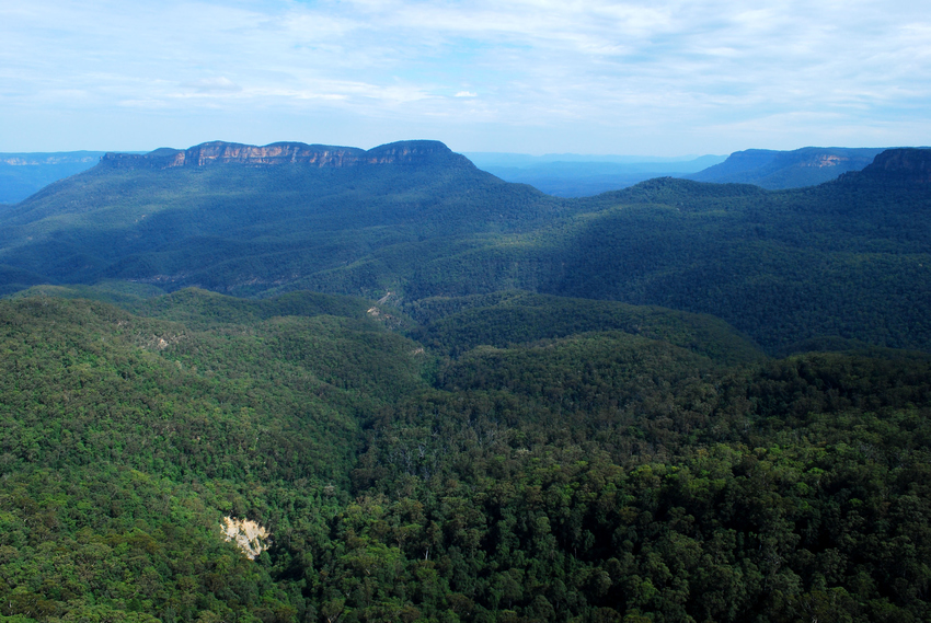 Blue Mountains2