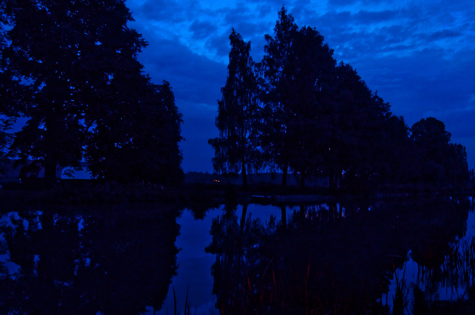 Blue Night