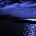 blue night