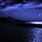 blue night