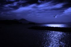 blue night