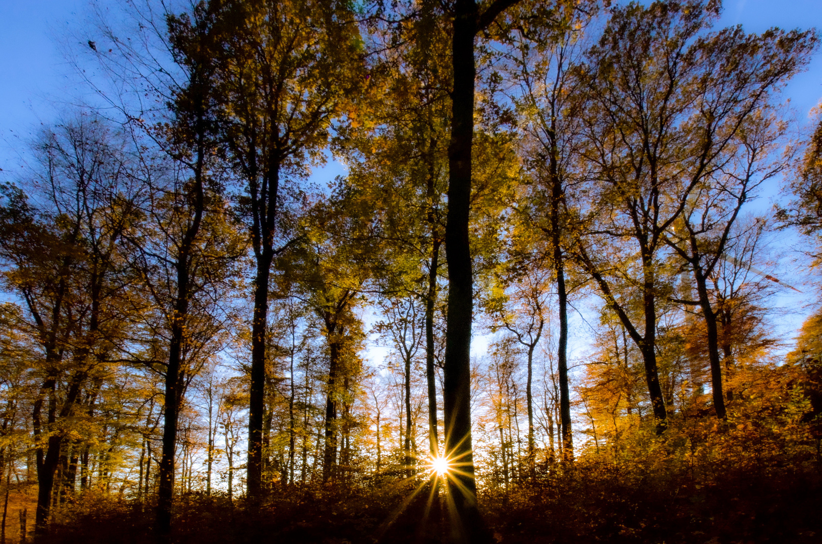 Blue November Himmel