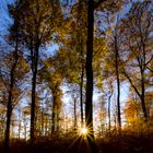 Blue November Himmel