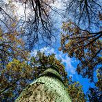 Blue November Himmel 2