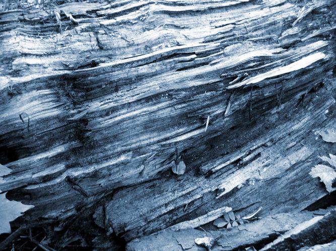 blue old wood