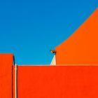 BLUE-ORANGE