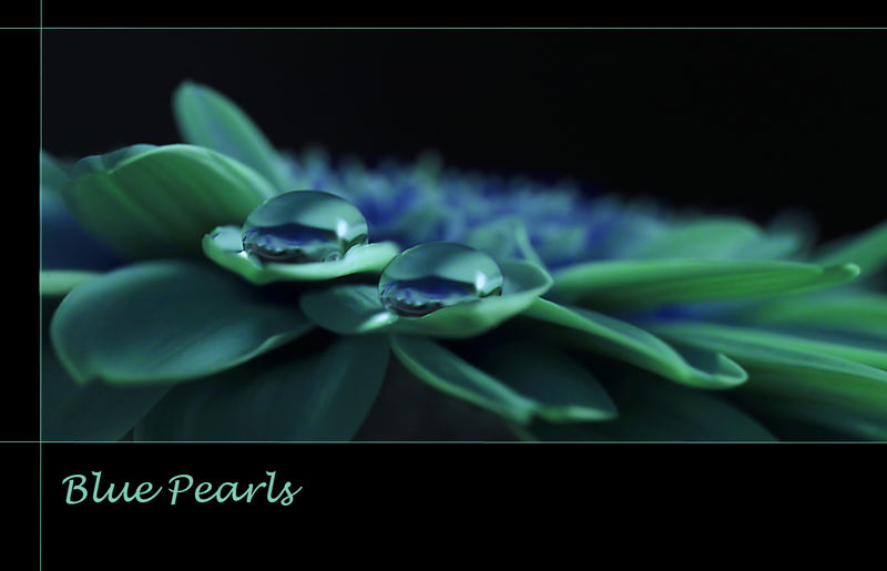 Blue Pearls