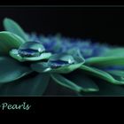 Blue Pearls