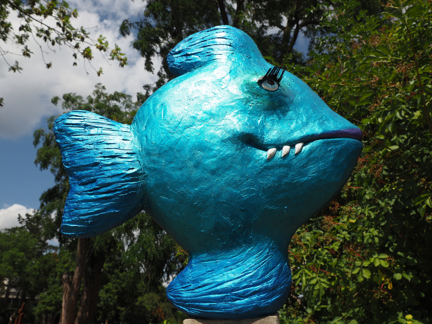 Blue Piranha