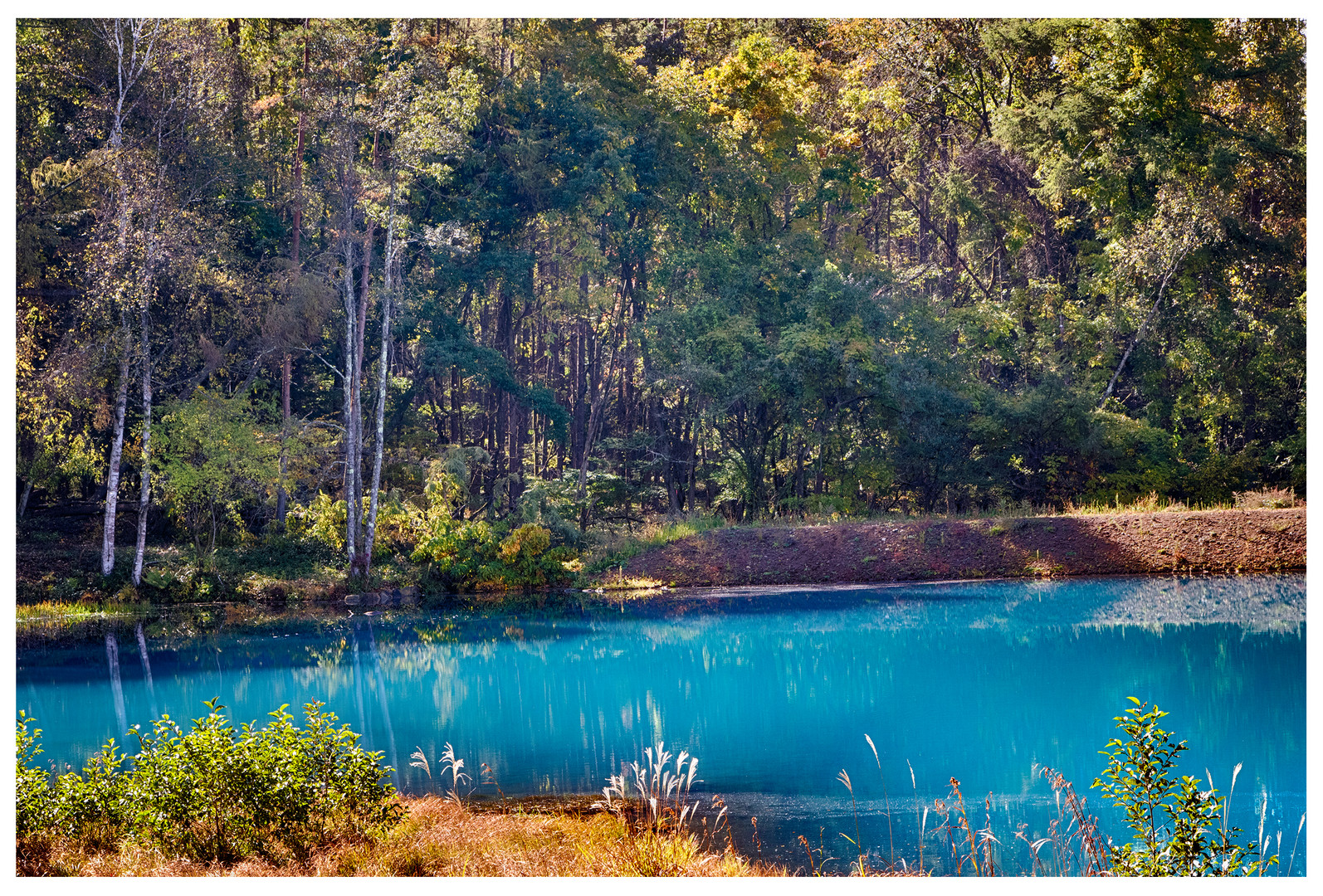 BLUE POND