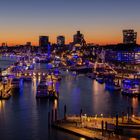 Blue Port Hamburg - Blick zu den Landungsbrücken