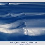 Blue portrait of winter