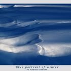 Blue portrait of winter