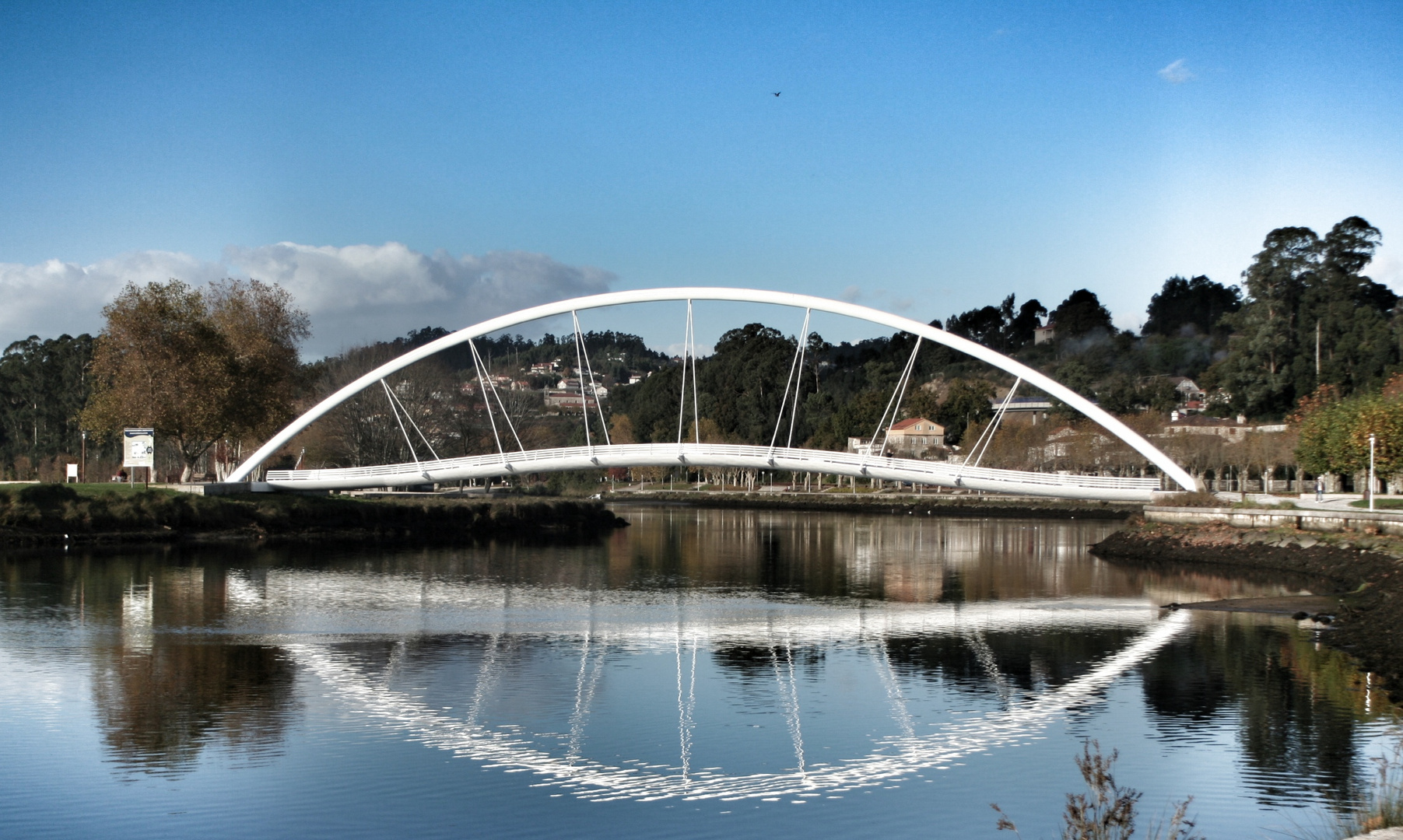 Blue reflection