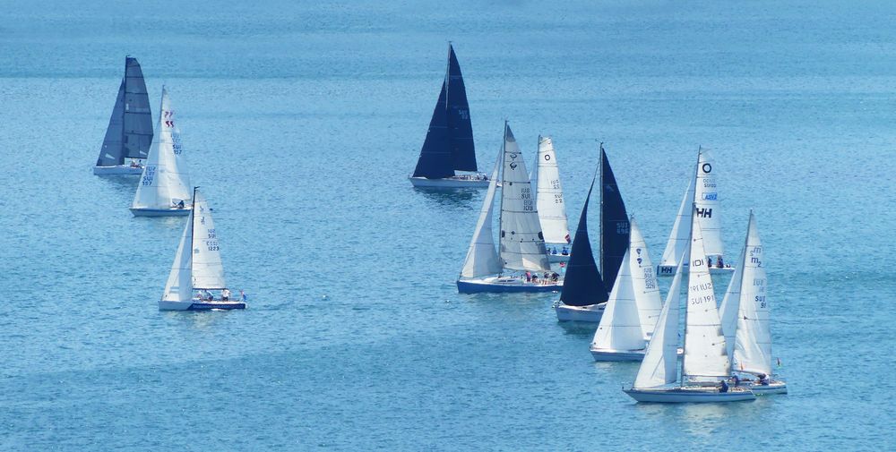 Blue Regatta