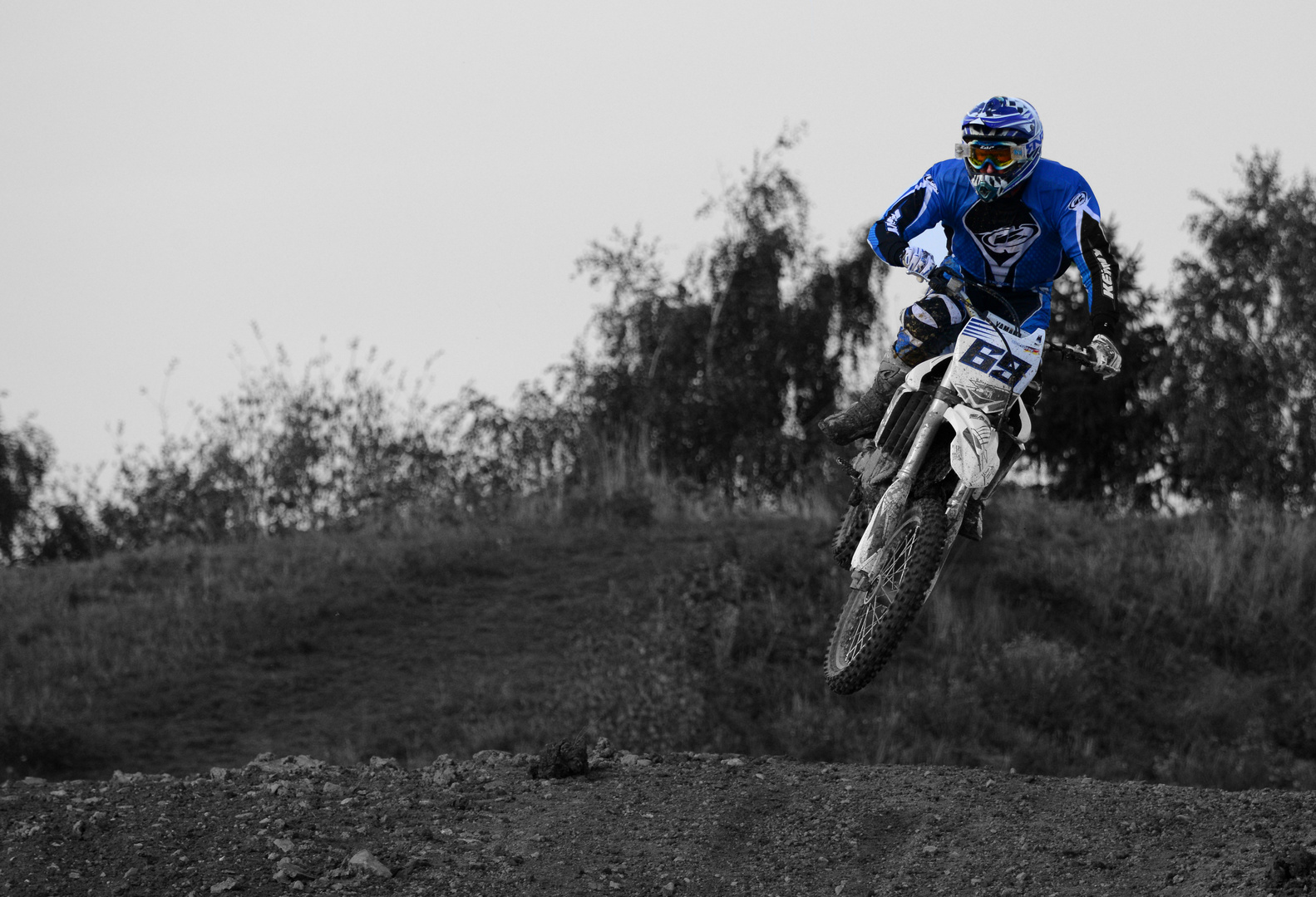 blue rider