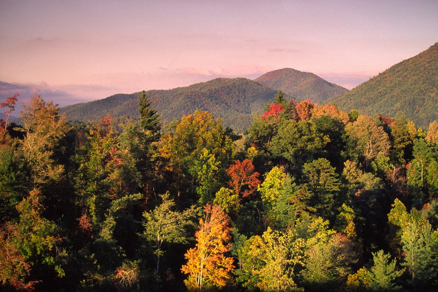 Blue Ridge Parkway im Herbst