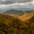 Blue Ridge Parkway - Wald und nochmal Wald