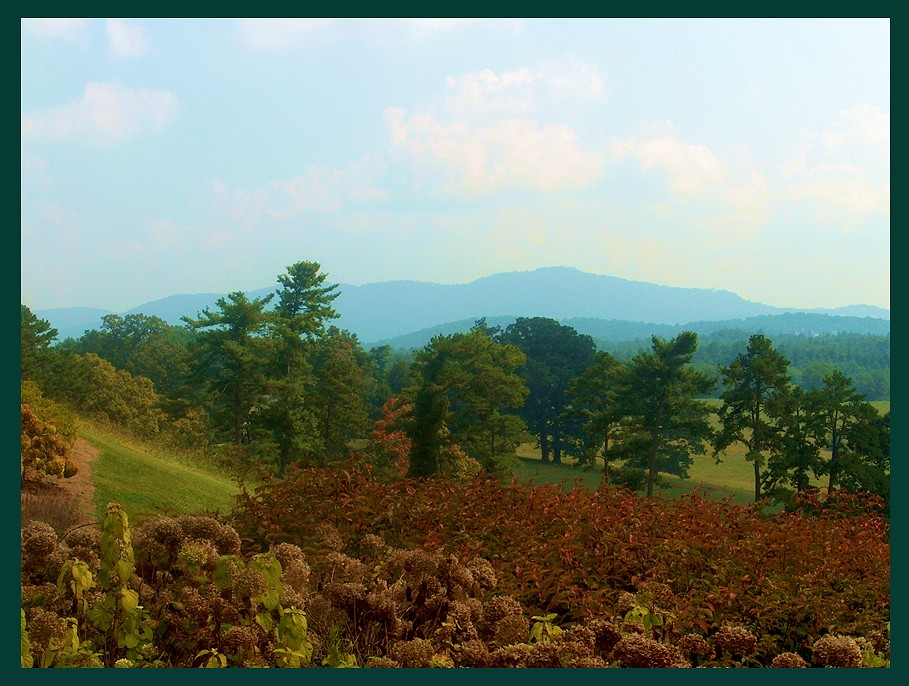 Blue Ridge Summer