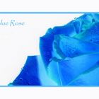 Blue Rose