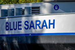 Blue Sarah 
