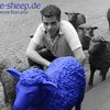 blue-sheep