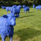 Blue Sheep Group