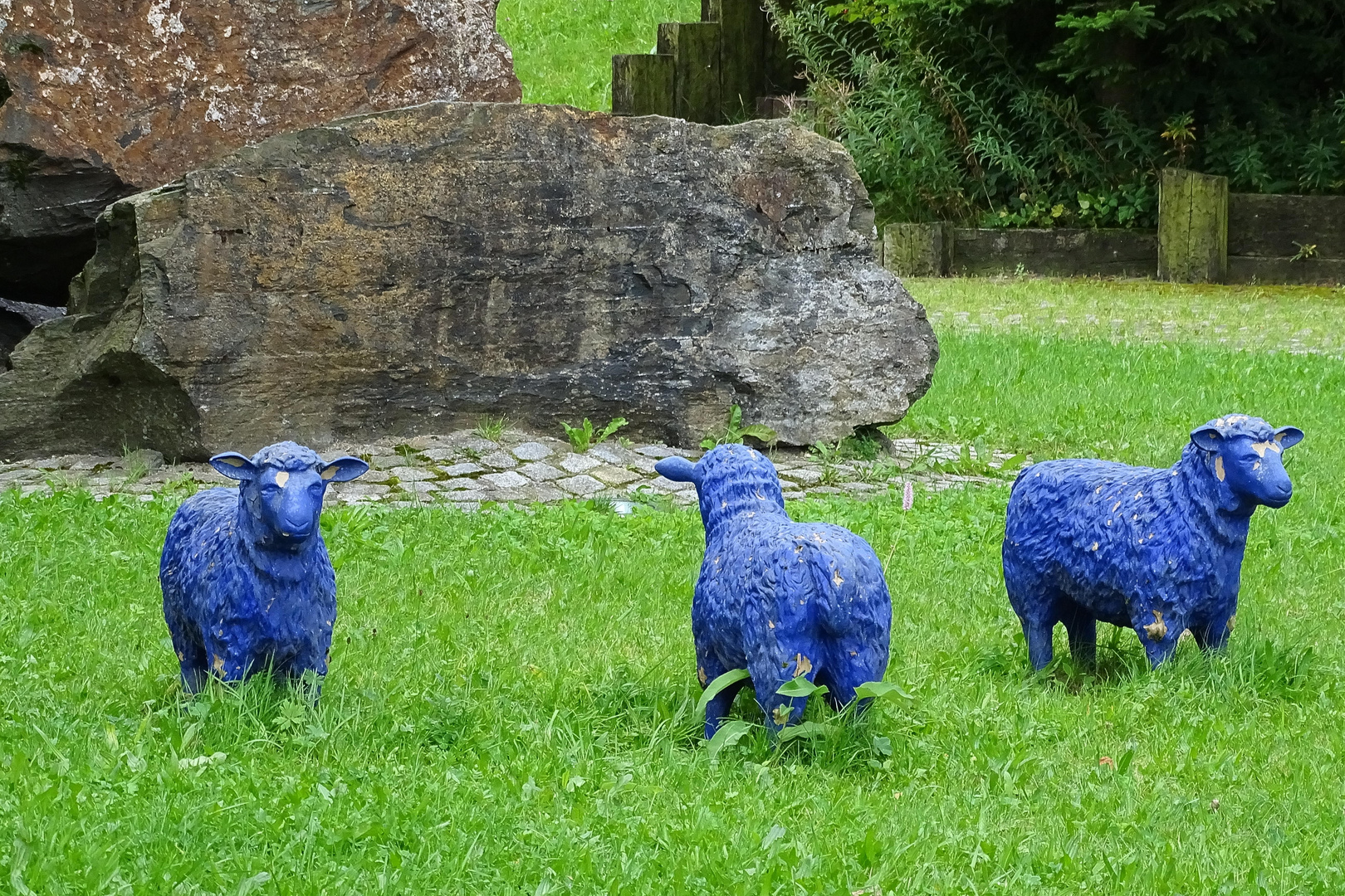 Blue Sheep Group