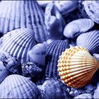Blue Shells
