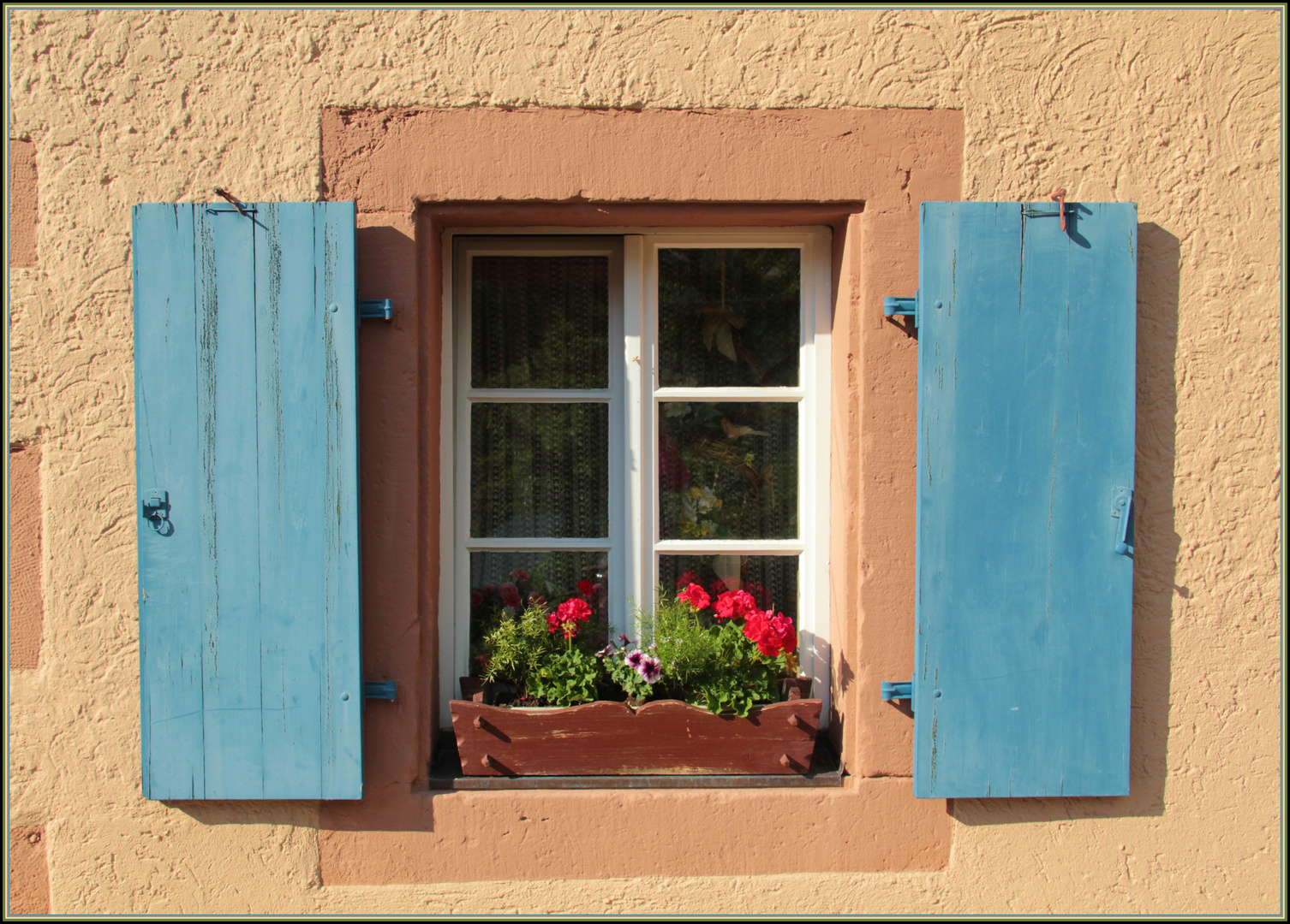 blue shutters