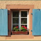 blue shutters