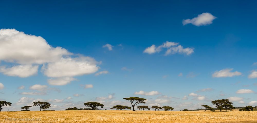 Blue Skies ...