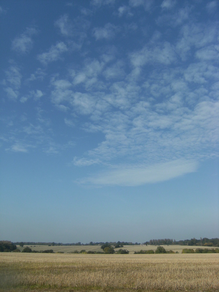 Blue Skies & Empty Fields.