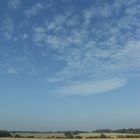 Blue Skies & Empty Fields.