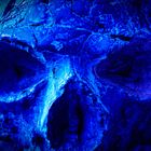 blue skull...