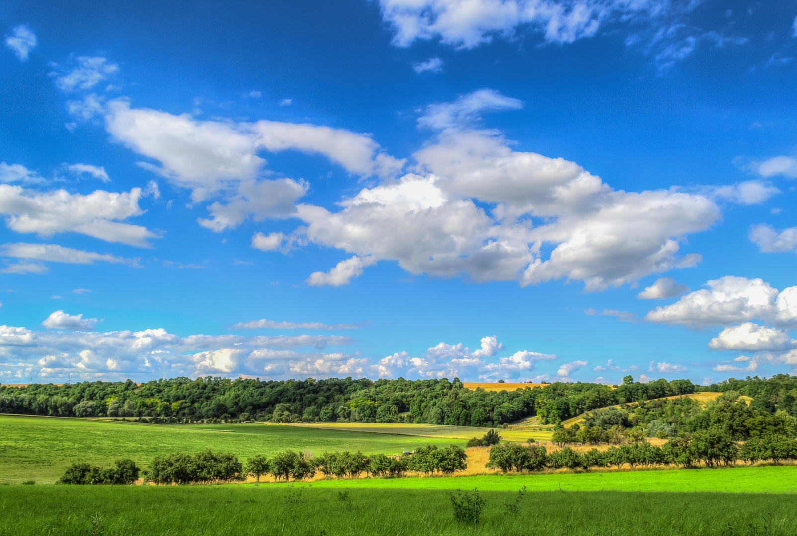 Blue Sky