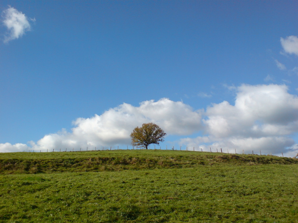 Blue Sky